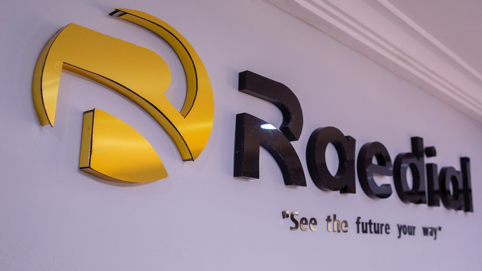 Raedial Holdings Limited Past Questions And Answers-Download